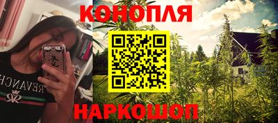 хмурый Майкоп
