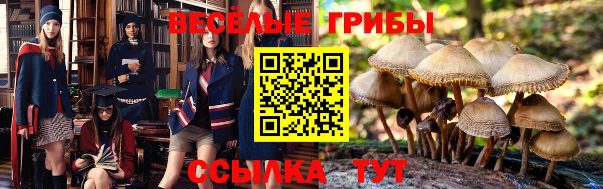Галлюциногенные грибы Cubensis Ахтубинск
