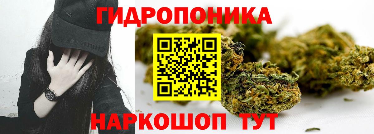 Каннабис Amnesia Ахтубинск